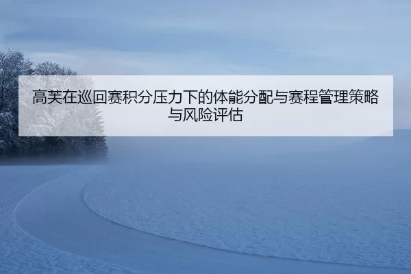gao-fu-zai-xun-hui-sai-ji-fen-ya-li-xia-de-ti-neng-fen-pei-yu-sai-cheng-guan-li-ce-lve-yu-feng-xian-ping-gu-2-163.jpg